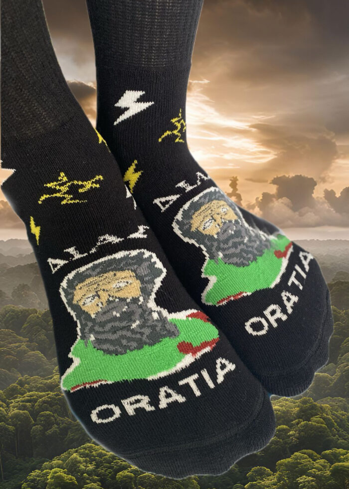 New Product Launch Instagram Story - 19